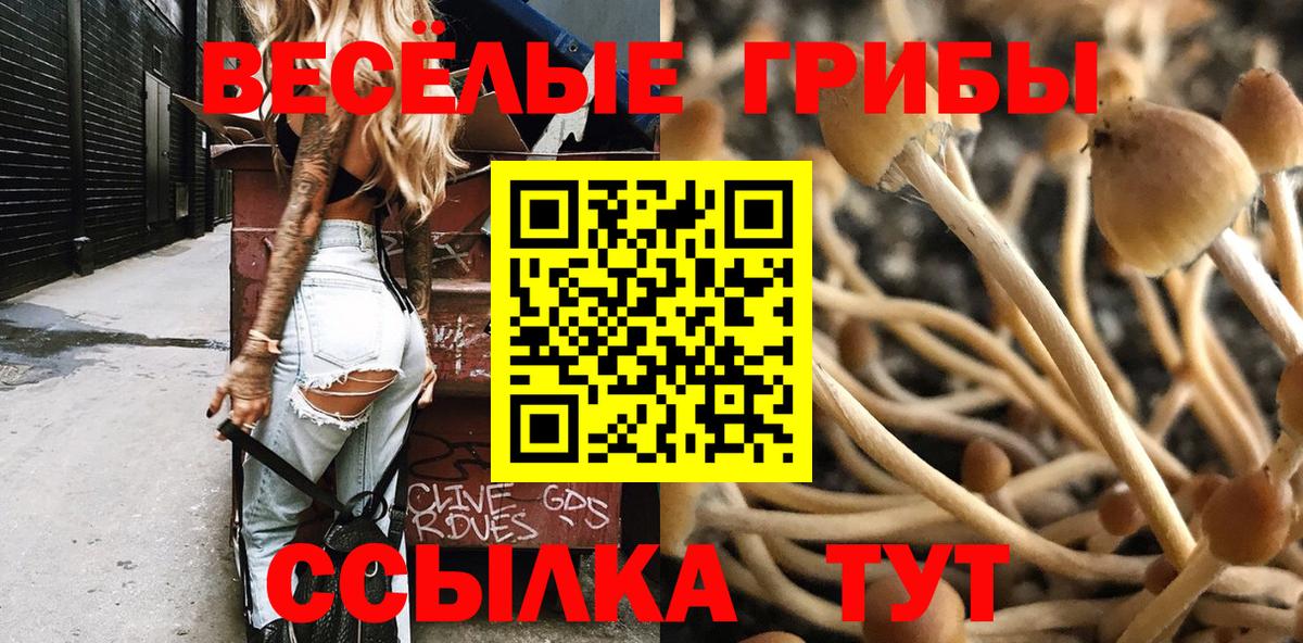 Псилоцибиновые грибы мицелий Гурьевск