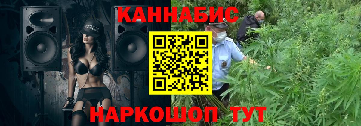 Бошки Шишки THC 21%  Канабис ГИДРОПОН  Конопля план  Гурьевск  Вход с VPN 